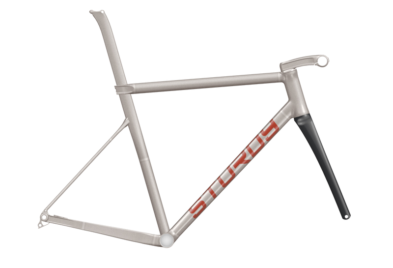 Raw titanium frameset with red Sturdy lettering on the down tube and a black fork