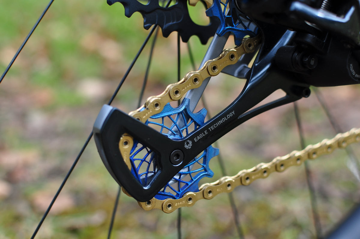 Rear derailleur with blue anodised web-pattern jockey wheels and a gold chain, grass behind