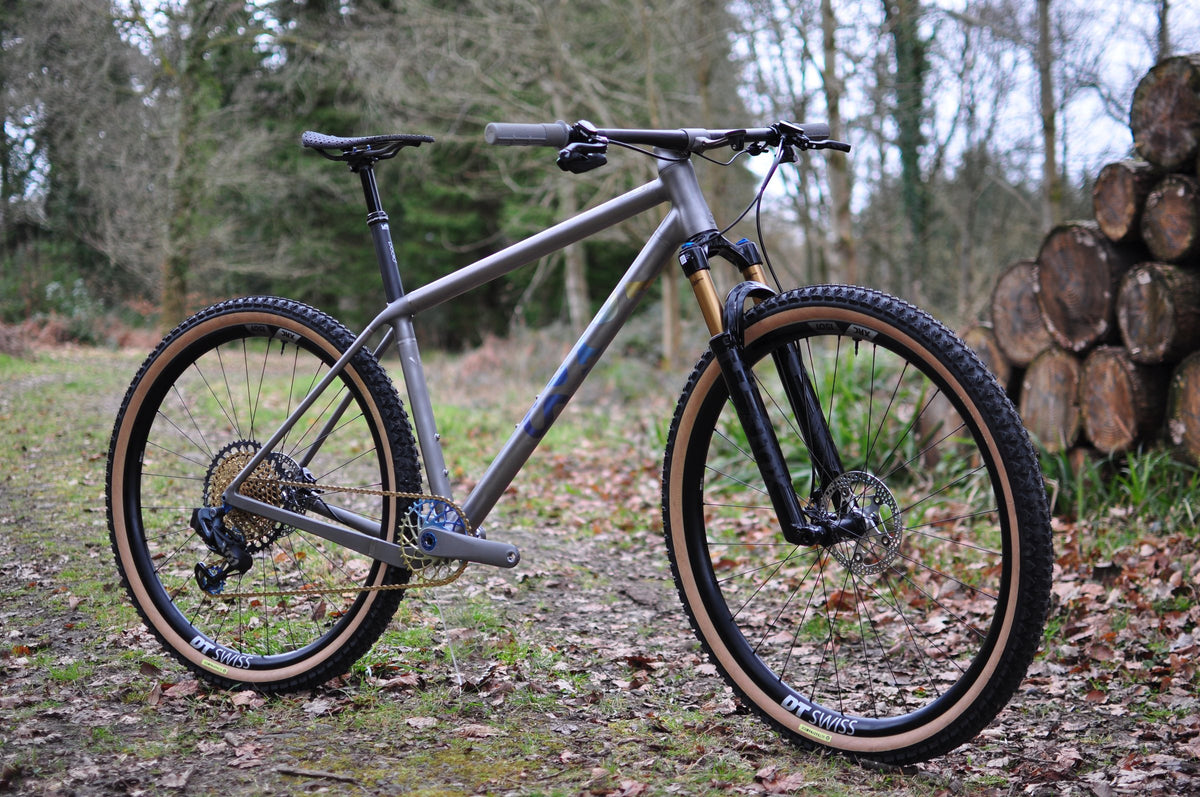 Titanium hardtail mountain bike with blue logo and gold details on a leafy woodland track by a log pile