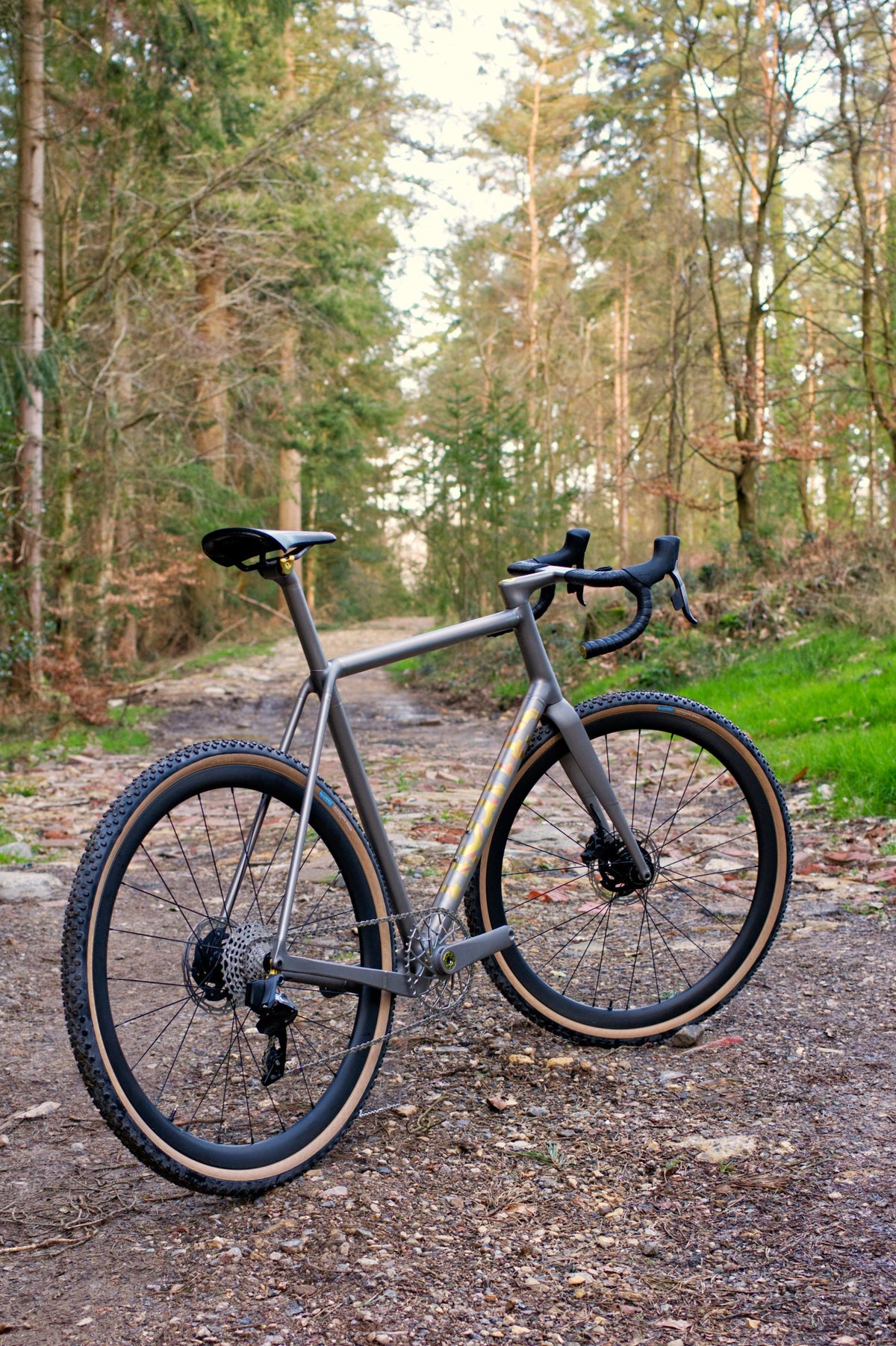 Titanium gravel bike with gold and silver down tube graphics and tan-wall tyres on a woodland track