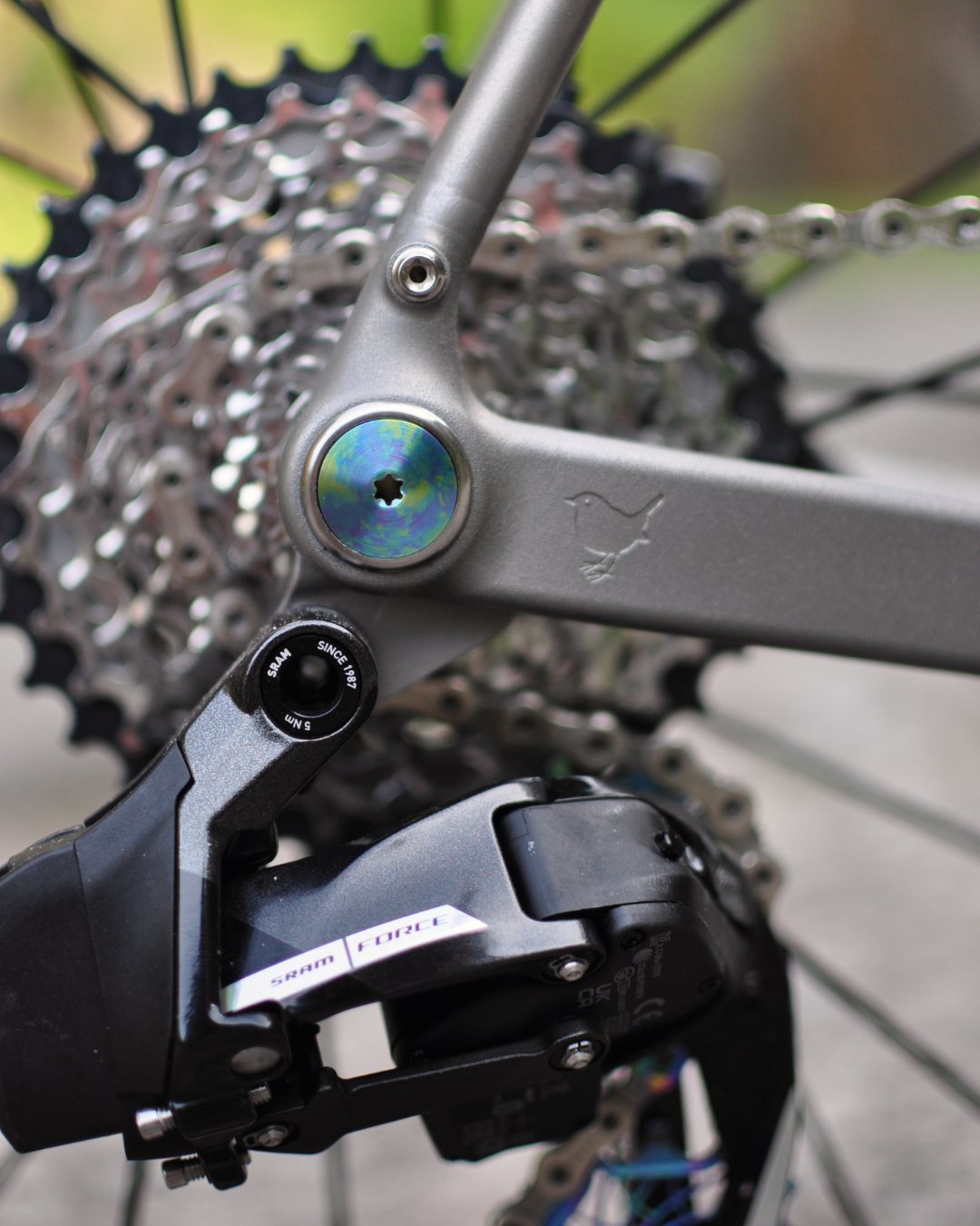 Titanium rear dropout with rainbow anodised axle bolt and engraved bird motif beside the cassette