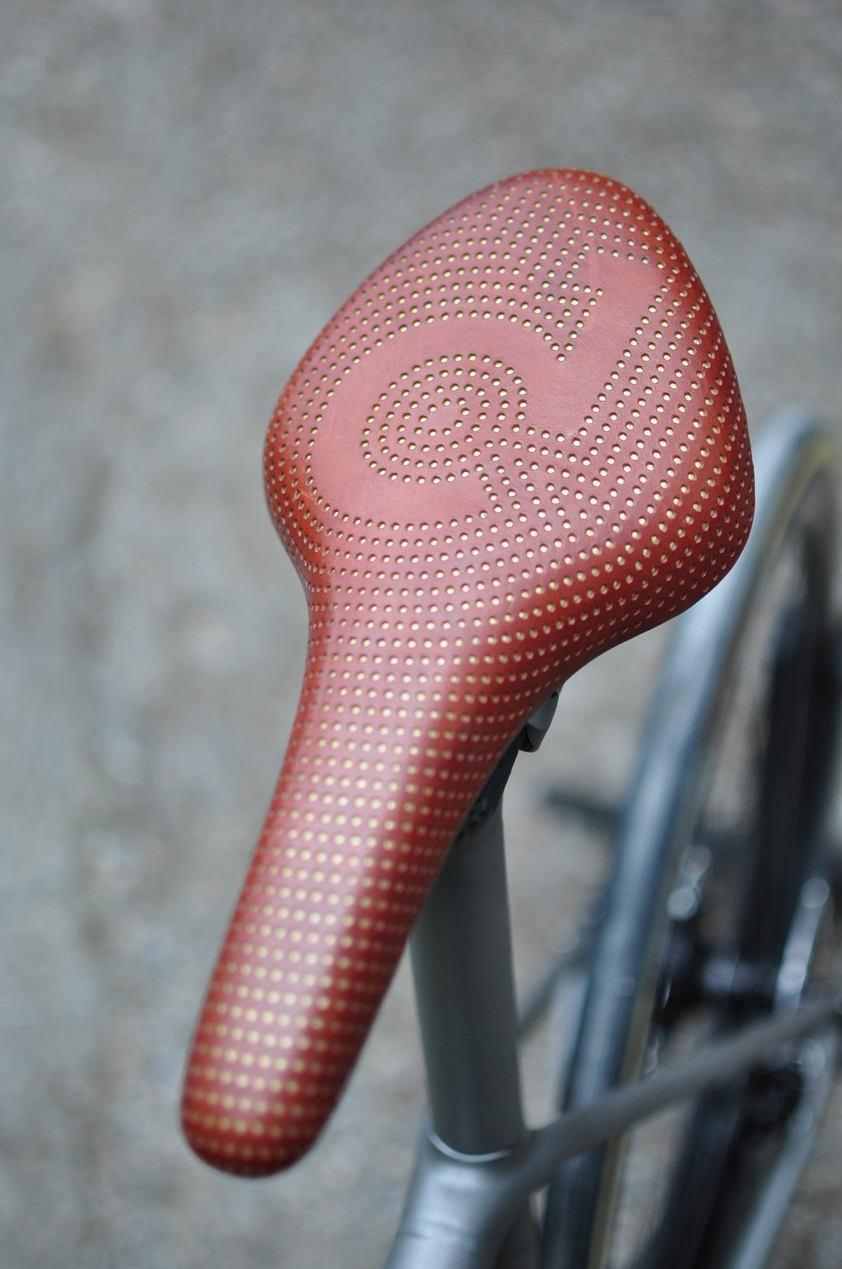 Red-brown leather saddle with perforated dot pattern forming a logo, on a titanium seatpost