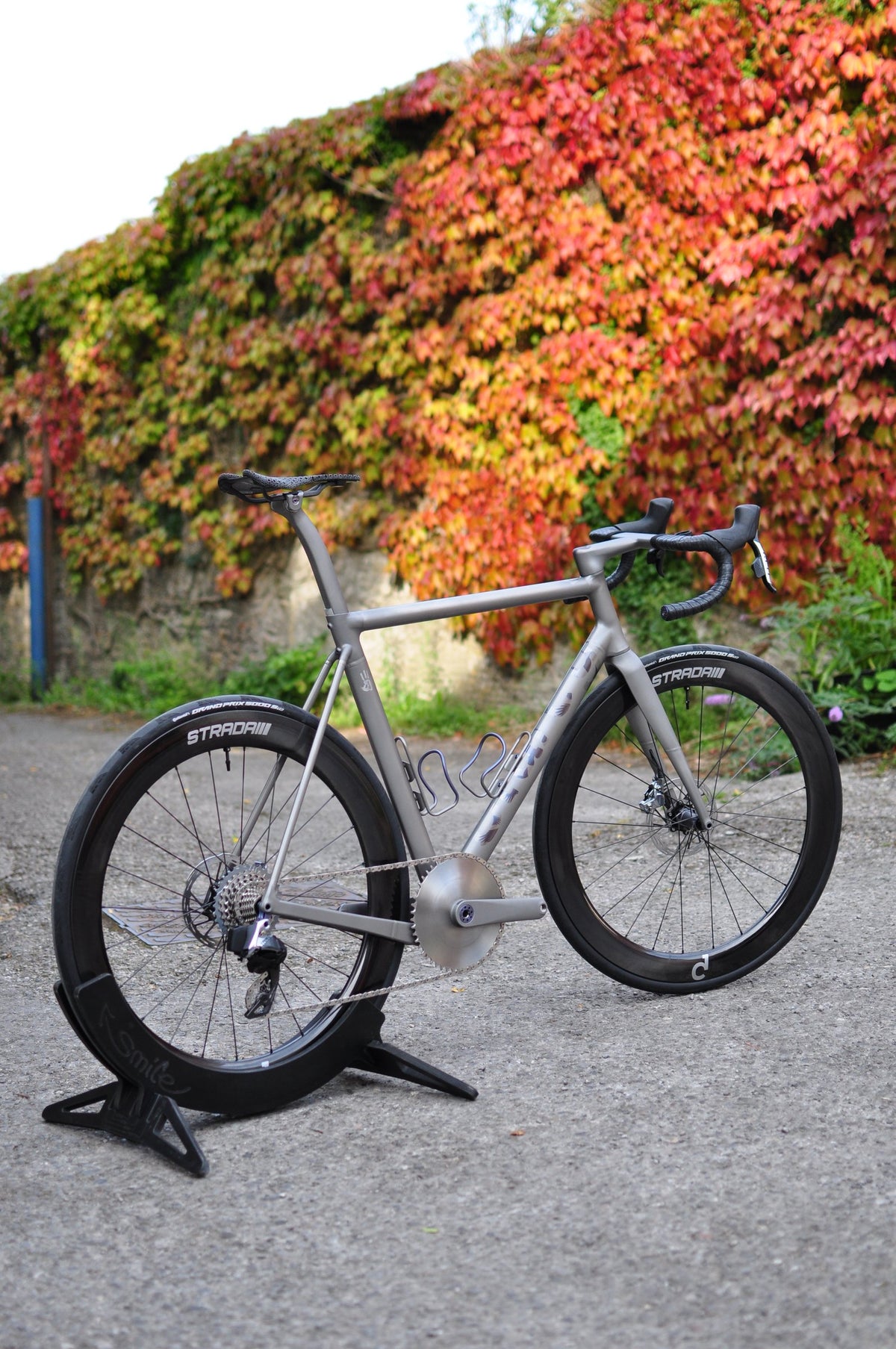 Titanium road bike with deep-section wheels on a stand in front of red and orange autumn ivy
