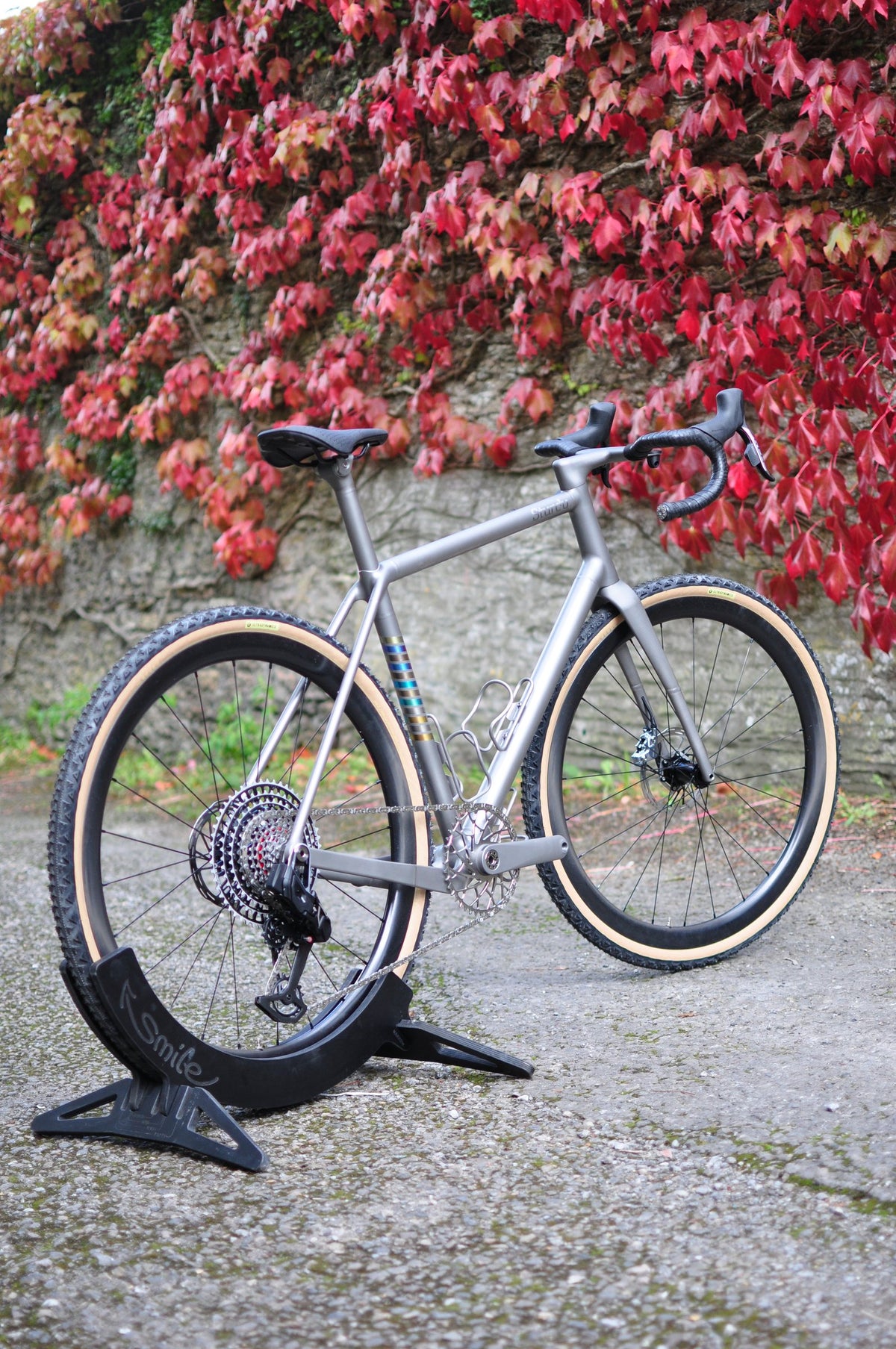 Titanium gravel bike with rainbow anodised seat tube bands and tan-wall tyres in front of red ivy
