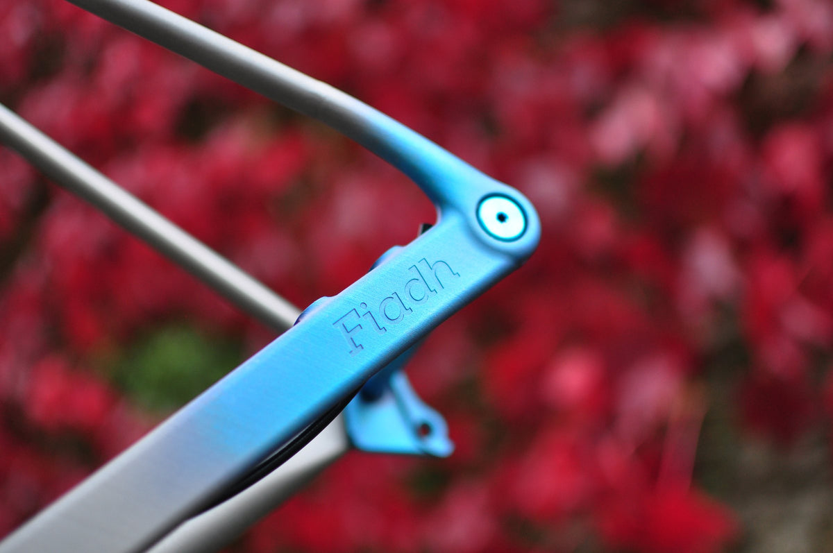 Blue anodised titanium dropout with engraved name, fading into raw titanium, red leaves blurred behind