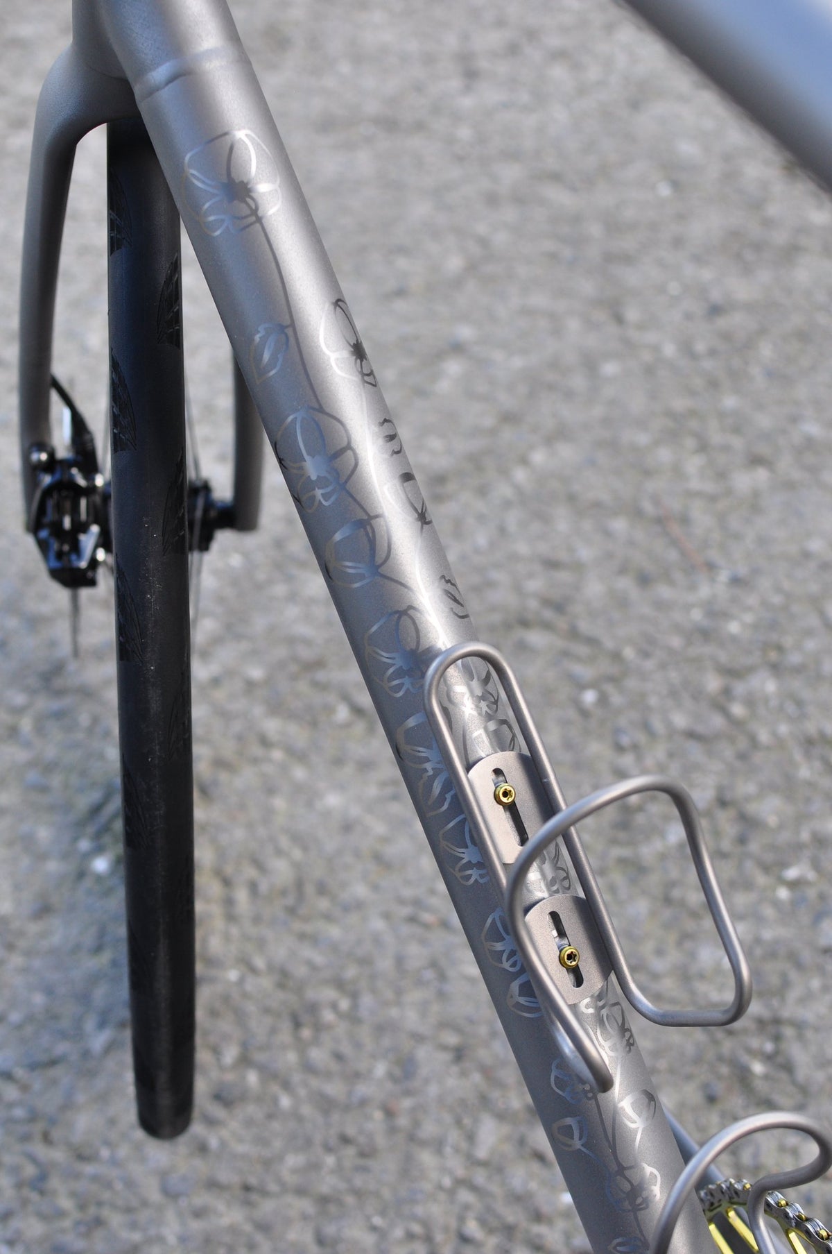 Shot-peened titanium down tube with polished poppy flower outlines and titanium bottle cages