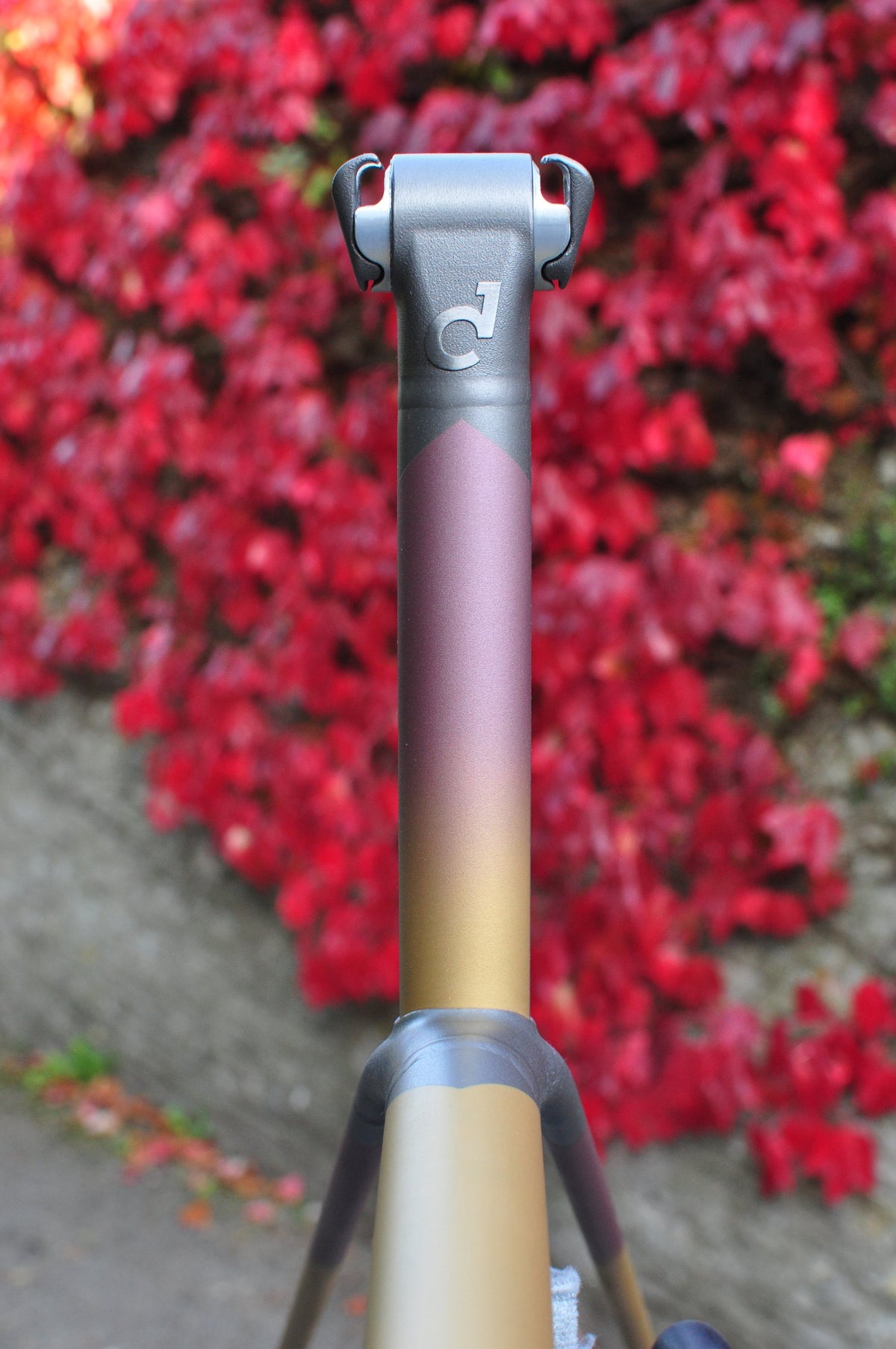 Grey seat post head with Sturdy logo over a mauve-to-gold fade seat tube, red ivy behind