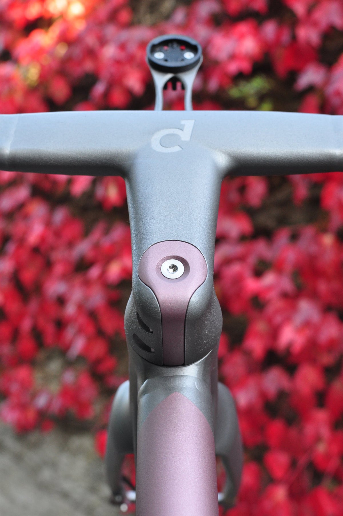 Dark grey one-piece bar and stem with mauve top cap and Sturdy logo in front of red ivy