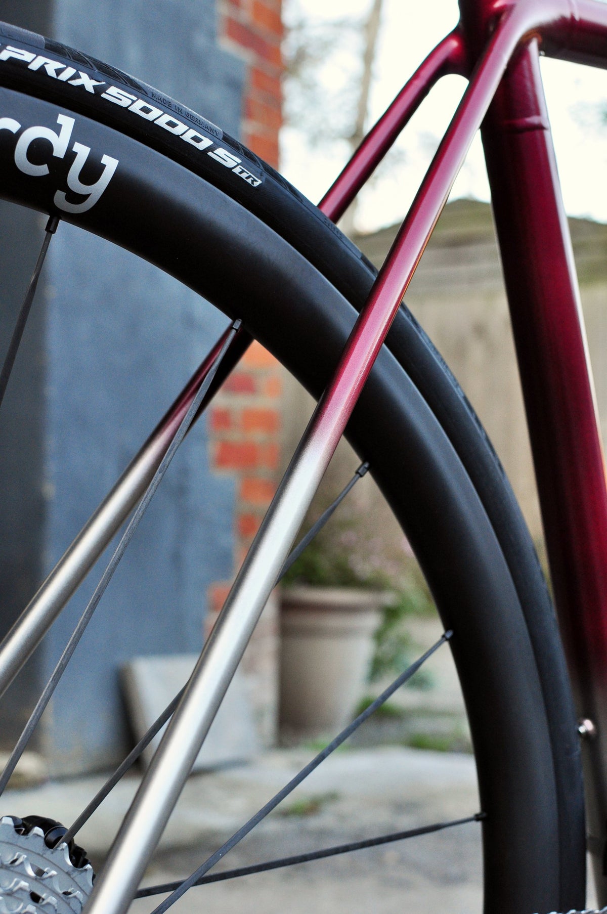 Titanium seat stays fading into metallic red paint behind a Sturdy-branded rear wheel