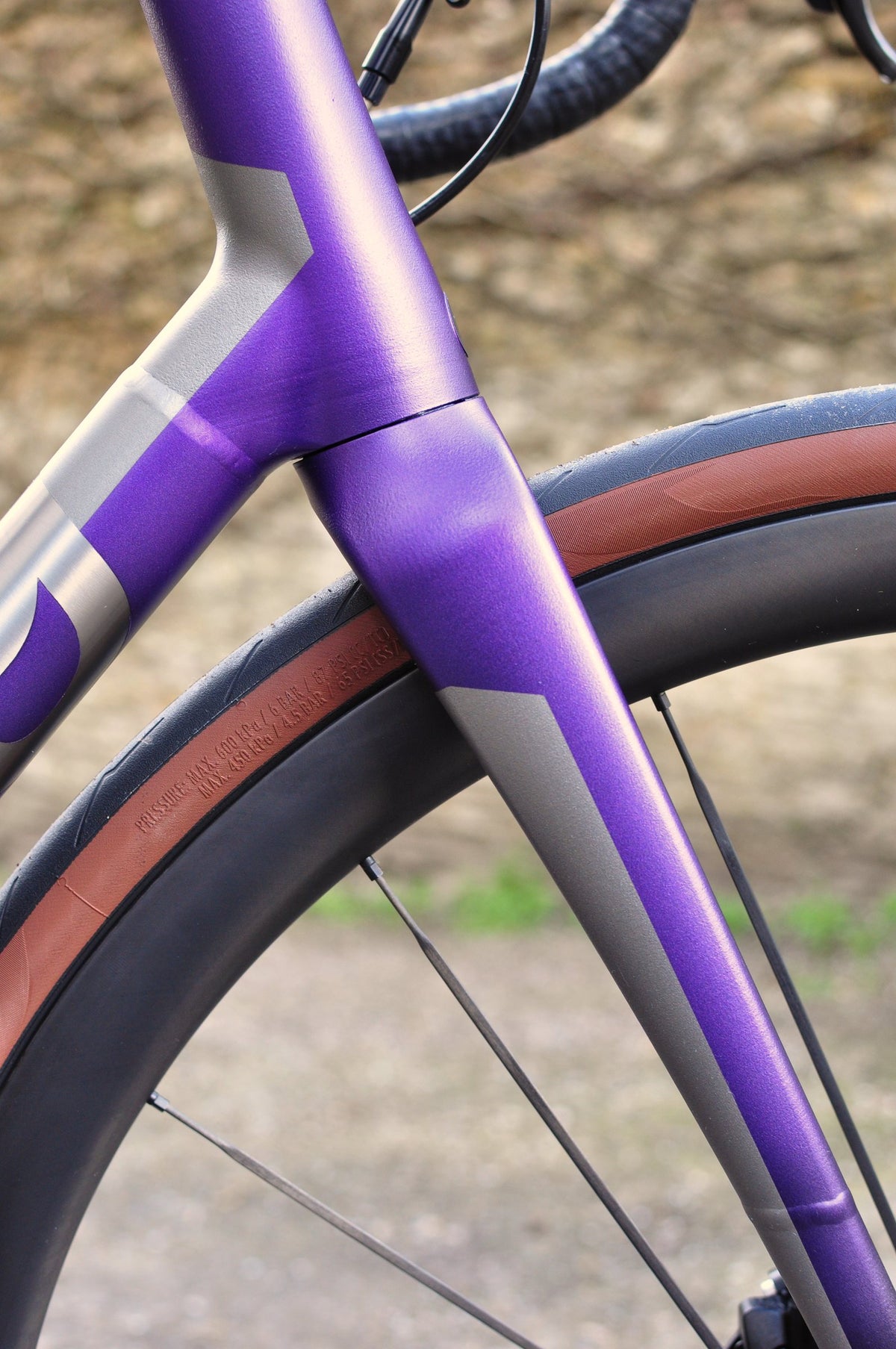 Purple painted head tube and fork with bare titanium panels above a tan-wall tyre, side view