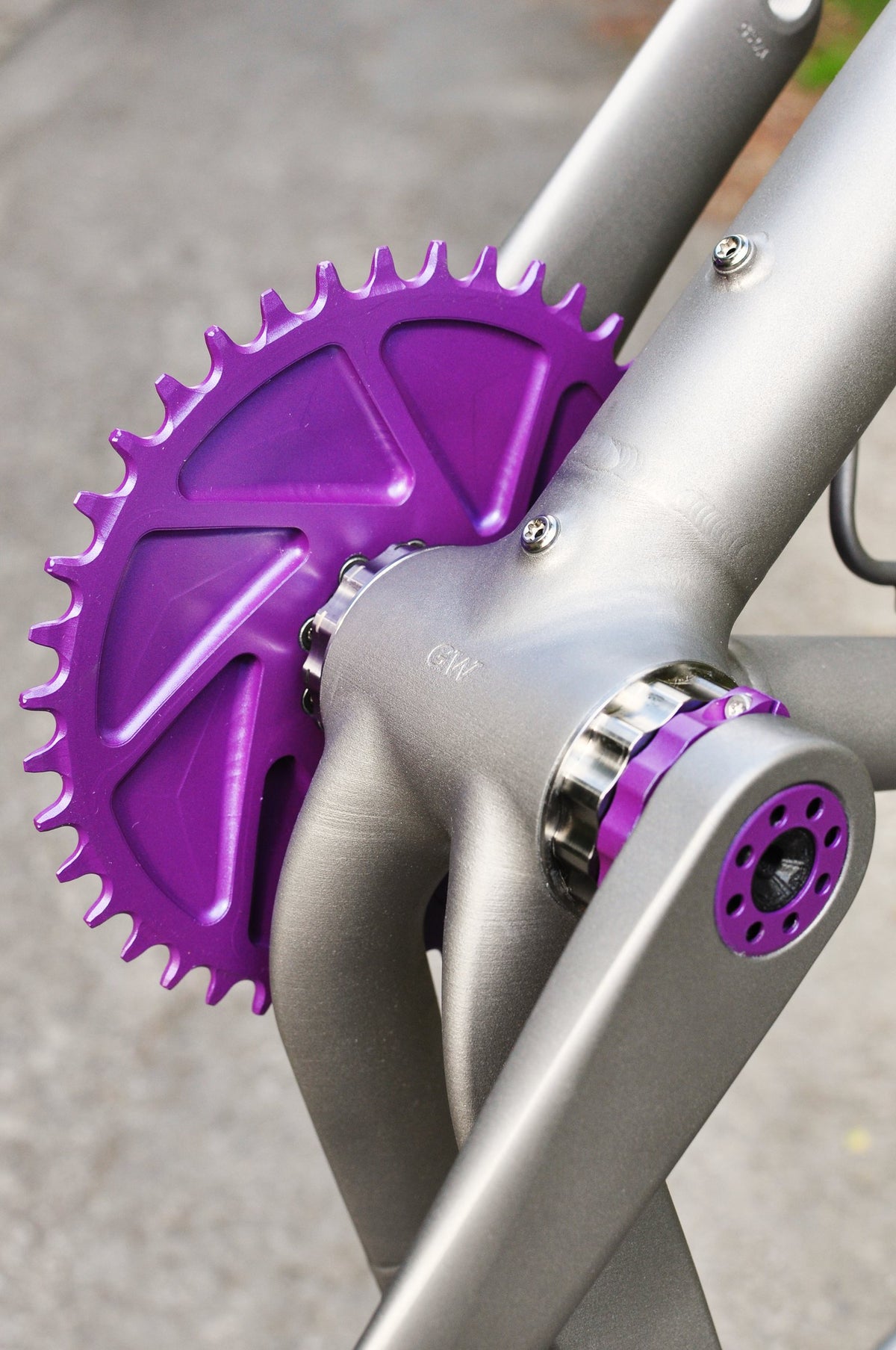 Purple anodised chainring and crank bolt on a bare titanium frame and crank arm, close-up