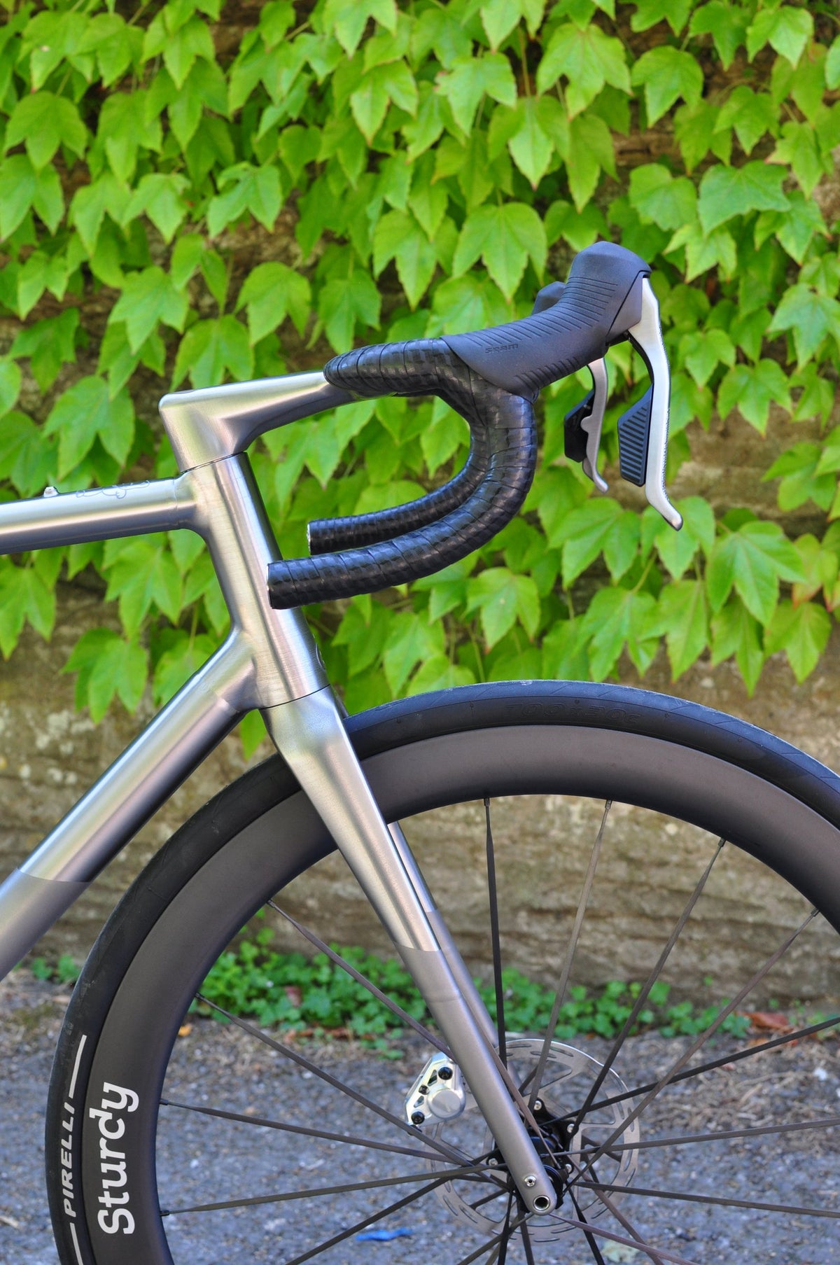 Titanium road bike front end with polished head tube and fork bands against green ivy