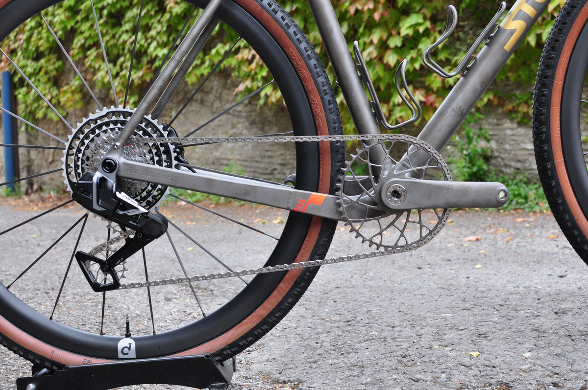 Drive side of a titanium gravel bike with gold logo, single chainring and tan-wall tyres by an ivy-covered wall
