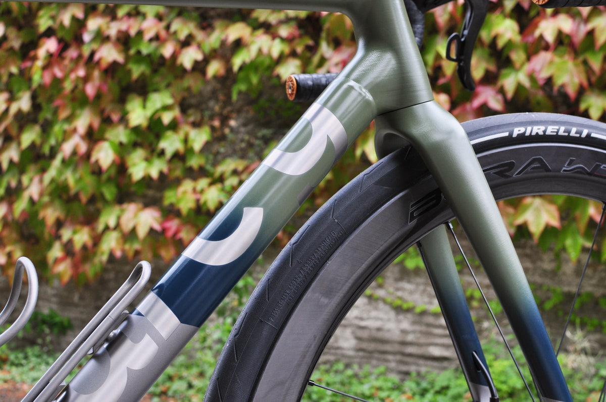 Head tube and down tube in a sage green to navy fade with large brushed titanium lettering, autumn ivy behind