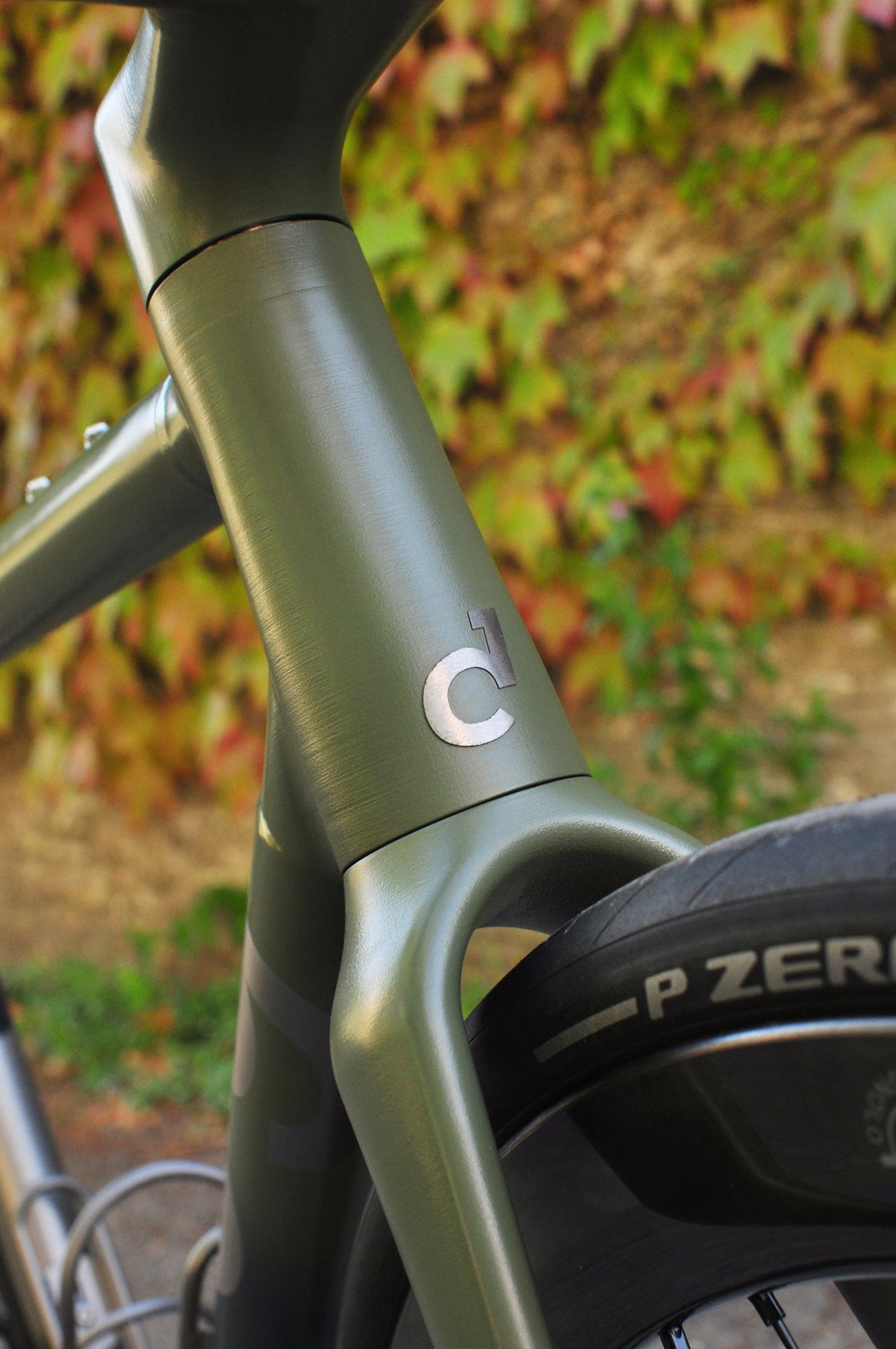Head tube and fork crown in brushed sage green with a polished logo badge, autumn leaves behind