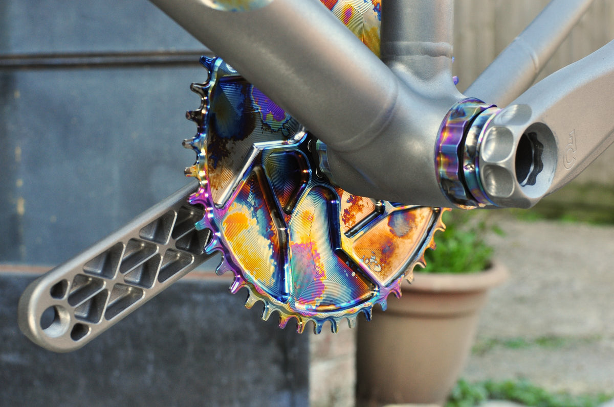 Rainbow oil-slick anodised chainring with titanium crank arm and frame, plant pot behind