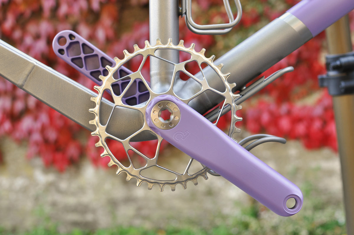 Gold-toned chainring and lilac crank arms on a titanium frame against red autumn ivy