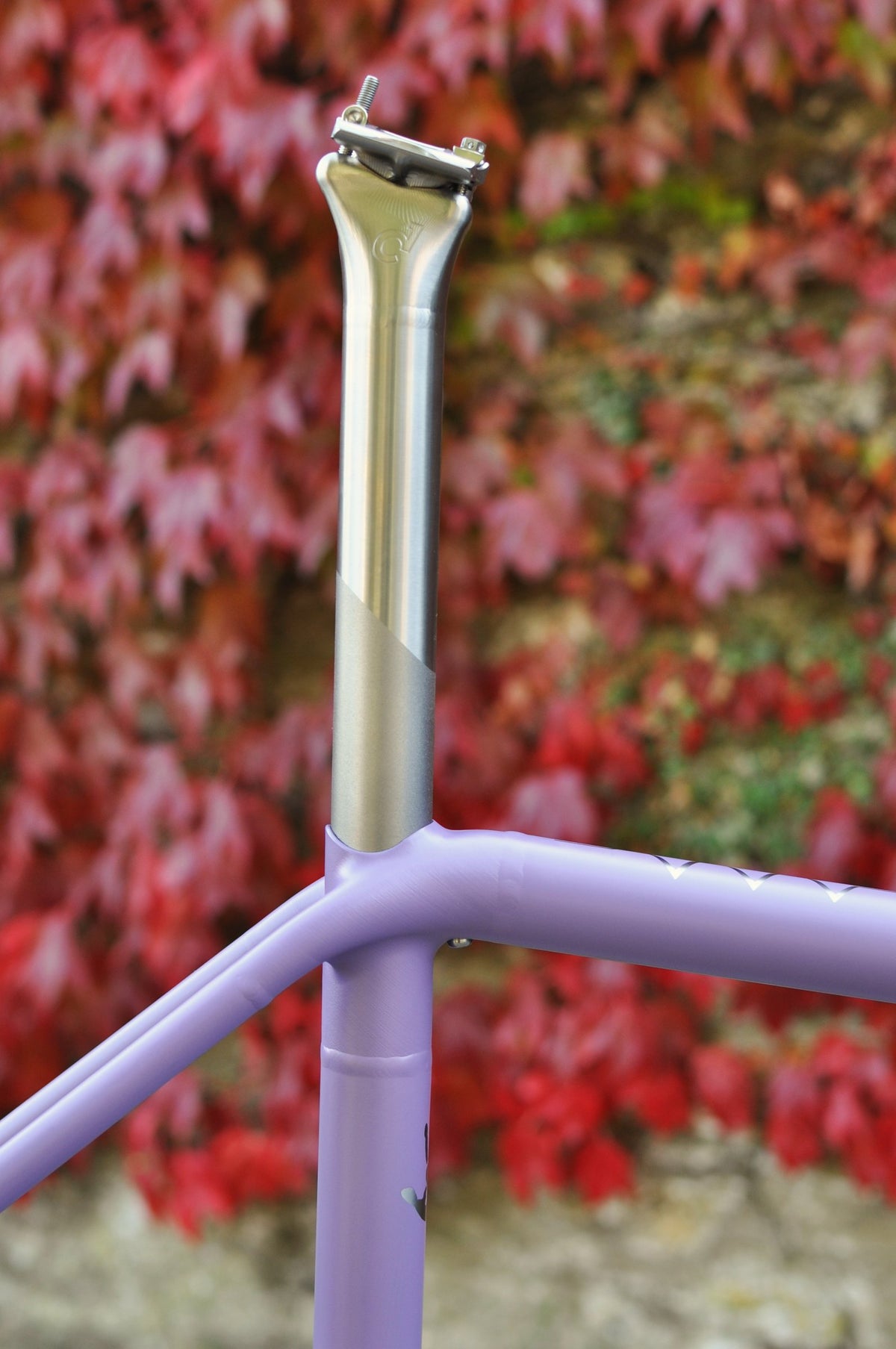 Polished titanium seatpost rising from a lilac painted seat cluster against red ivy leaves