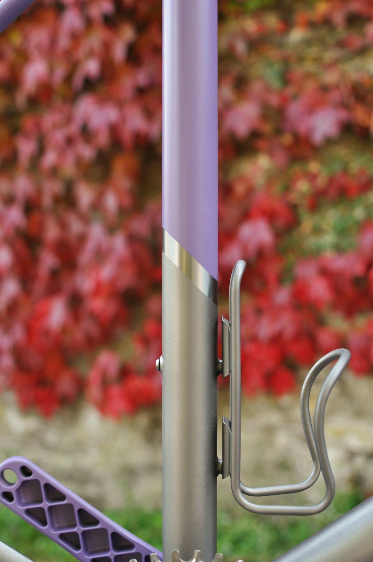 Lilac seat tube fading to bare titanium with a titanium bottle cage against red autumn ivy